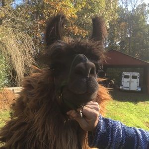 Meet your Posher, Mark